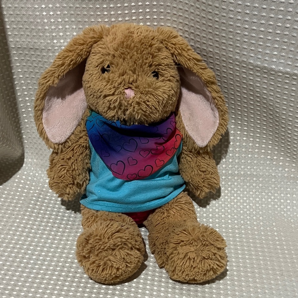 Build-A-Bear Pawlette Brown Bunny Plush with Blue and Pink Outfit